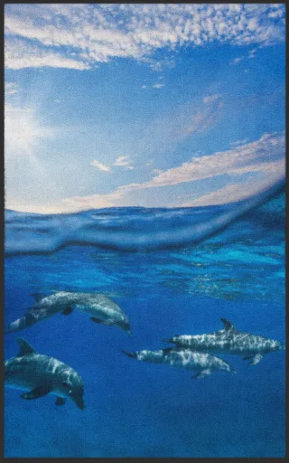 Fussmatte Delfin 7683 | Größe: 150 cm x 190 cm