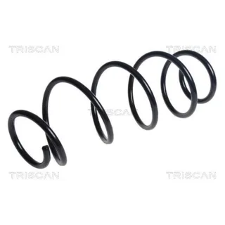 Triscan Feder vorne Peugeot 308 875028277
