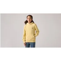 Levi's® Kids Hoodie LVB MINI BATWING PULL OVER HOO for BOYS