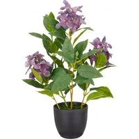 Kunstpflanze Hortensie paniculata, Creativ green, Höhe 45 cm, mit 8 Real-Touch-Blüten