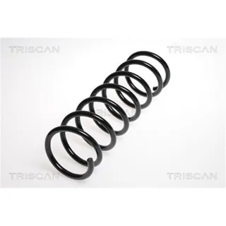 Triscan Feder hinten Mazda 3 87505056