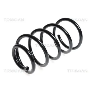 Triscan Feder vorne Ford Kuga 1 2,0 875016070