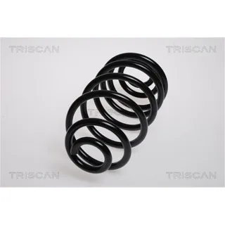 Triscan Feder hinten Opel Astra Meriva