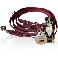 Activity4Dogs Hundeleine für große Hunde, Anti-Slip, 3 m lang, 4-fach verstellbar, TESTSIEGER, rutschfest, Nylon, sehr gut bei Regenwetter, Made in Germany