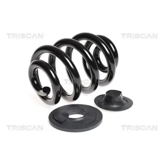 Triscan Feder hinten VW Transporter T4 875029150