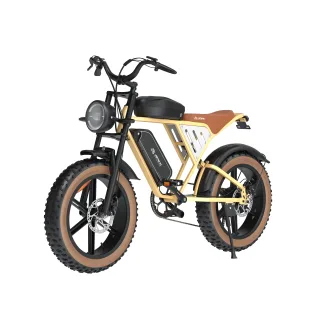 [EU Direct] JANSNO X70 Electric Bike 48V 17AH+20AH Dual Batteries 750W Peak Motor Recommended Top Speed 25KM/H 20inch Ti