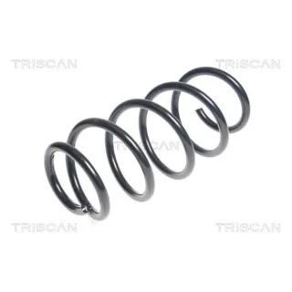 Triscan Feder vorne Hyundai Santa Fe 2 875043117