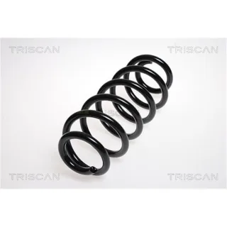Triscan Feder vorne Audi A6 C6 875029183