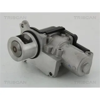 Triscan AGR-Ventil Audi Seat Skoda VW 881329002