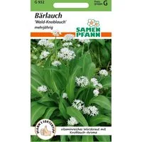 SAMEN PFANN Kräutersamen Bärlauch - Kräuter-Samen Gewürz Saatgut Samen, Allium ursinum