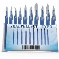 Horn Medical Bastelmesserklinge Horn Medical Einweg-Skalpell-Set Typ II - 10 Skalpelle in 10 Größen (präzises Schneiden, 10-St., einzeln steril verpackt), für medizinischen Bedarf, DIY, Bastler, Modellbau etc.