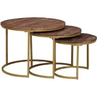 vidaXL Couchtisch Nesting-Couchtische 3 stk. Dunkelbraun 54 x 54 x 40 cm (3-St)