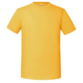Fruit Of The Loom Herren Premium T-Shirt (Sonnenblume)