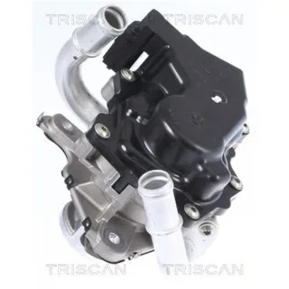Triscan AGR-Ventil Audi Seat Skoda VW 881329058