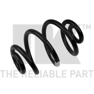 NK Feder hinten BMW 3er E46 541520