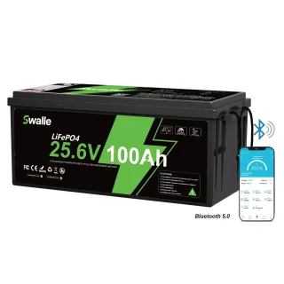[EU Direct] Swalle 24V 100Ah Bluetooth LiFePo4 Battery Pack, Build-in BMS Temperature Protection 4000+ Times Deep Cycles