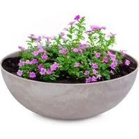matches21 HOME & HOBBY Blumentopf Pflanzschalen für draussen Dekoschalen rund sand beige 20 cm (1 St), Blumen-Schale als wetterfeste Friedhof-Schale Grab-Schmuck Grabschale
