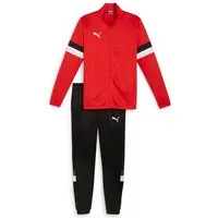 PUMA Trainingsanzug TEAMRISE TRACKSUIT (2-tlg), zweiteiliges Set, Regular Fit, ohne Kapuze