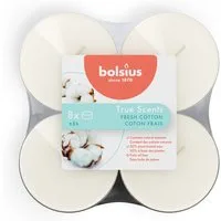 Bolsius Duftkerze Bolsius Maxi-Teelichter weiß 8h True Scents Fresh