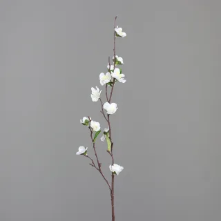 70 cm
