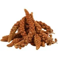 Lyra Pet 5 kg Lyra Pet® Kolbenhirse rot, für: Wildvogel, Haus- und Nutztier