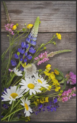 Fussmatte 7221 | Größe: 60 cm x 90 cm