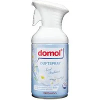 Domol Raumduft Cool Freshness, 250 ml