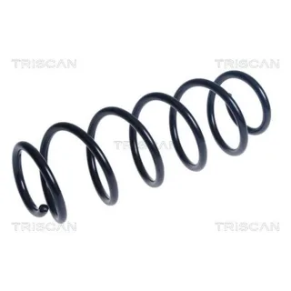 Triscan Feder hinten Mercedes A-Klasse W169 875023225