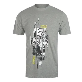 Cavalli Class - Graues T-shirt Mit Abstraktem Tiger-logo