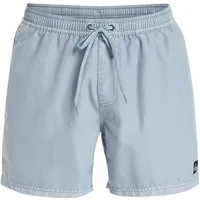 Quiksilver Boardshorts Everyday Surfwash Volley 15"