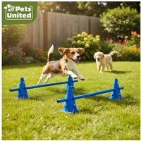 all Pets United Trainingshilfe All Pets United Trainingsset Hund & Kinder, Hunde Sport & Lernhilfe