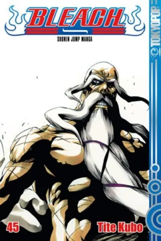 Bleach 45: Das flammende Inferno [Broschiert] [2011] Kubo Tite
