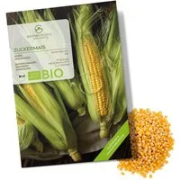 Growgreens Gemüsesamen BIO Zuckermais Samen (Golden Bantam) - Mais Saatgut (30 Korn), Gemüse