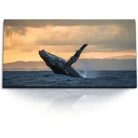 Sinus Art Leinwandbild Kunstdruck Bilder 120x60cm Buckelwal Wal Meer Ozean Horizont Sonnenunt, (1 St)