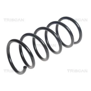 Triscan Feder hinten Abarth 500c Fiat 500