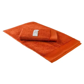 ARTG - Gäste-Handtuch "Excellent Deluxe" (Ziegelrot)