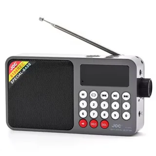 IPRee FM Radio Support Bluetooth 5.4 Mode Portable Wireless Multifunctional Automatic Search Support USB TF Card MP3 Pla