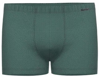 AMMANN - Ammann 14697 mediterranea - Gr. - 6