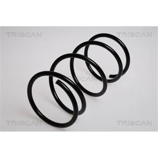 Triscan Feder vorne Honda Civic 7
