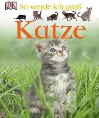 So werde ich groß. Katze