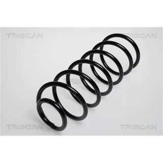 Triscan Feder vorne VW Golf 3 Vento