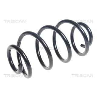 Triscan Feder hinten Mercedes B-Klasse Gla-Klasse 875023187