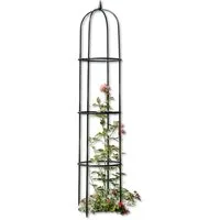 Dekoleidenschaft Rankhilfe "Krone" Metall grün Ø 40 x 200 cm, Rankgitter für Kletterpflanzen, Pflanzenstütze, Rankenhilfe, Blumenstütze, Kletterhilfe
