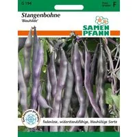 SAMEN PFANN Gemüsesamen Stangenbohne, Blauhilde - Bohnen-Samen Saatgut Samen, Phaseolus vulgaris