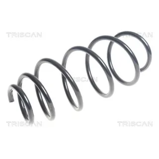 Triscan Feder Vorne Chevrolet Aveo 87502133