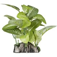 ReptiZoo Terrariendeko ReptiZoo Kunststoffpflanze "Fittonia verschaffeltii" – Terrariendekora