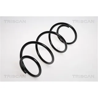 Triscan Feder vorne Renault Clio Modus 87502558