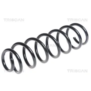 Triscan Feder Hinten Renault Megane Sc?nic