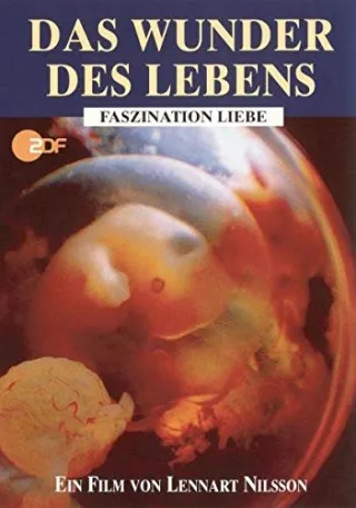 Das Wunder des Lebens - Faszination Liebe [DVD] [2006]