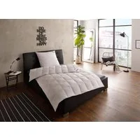 fjödur Gänsedaunenbettdecke Franzisk, Bettdecken für Sommer oder Winter, Decke, Füllung: 100% Gänsedaunen, Bezug: 100% Baumwolle, Bettdecke 135x200, allergiker geeignet (für Hausstauballergiker)